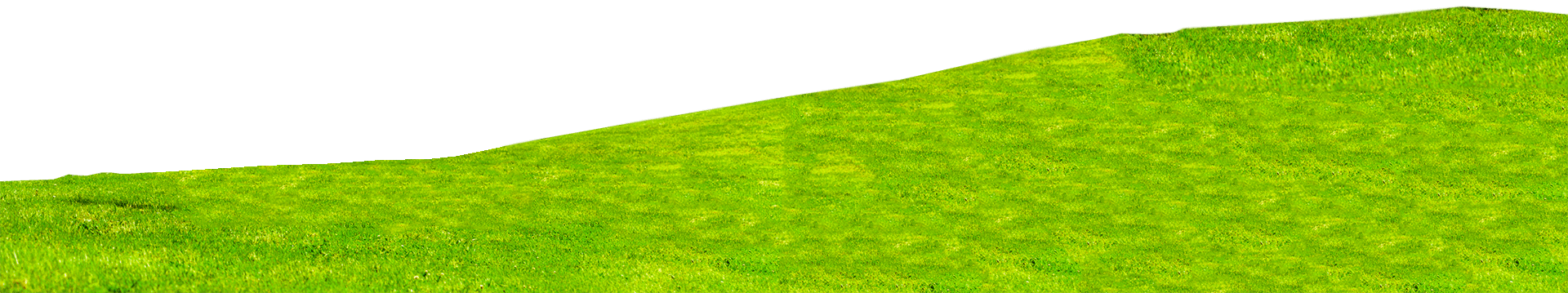 Happy Houston Bounce House